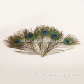 wholesale natural peacock feather Genuine Peacock Feather